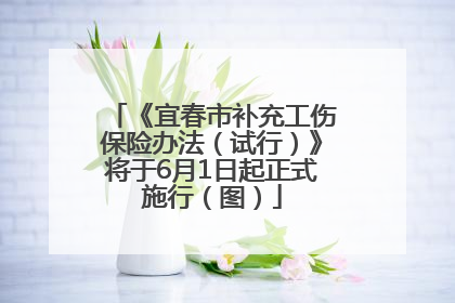 《宜春市补充工伤保险办法（试行）》将于6月1日起正式施行（图）
