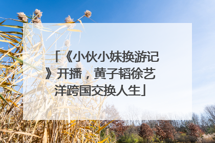 《小伙小妹换游记》开播，黄子韬徐艺洋跨国交换人生