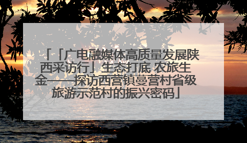 「广电融媒体高质量发展陕西采访行」生态打底 农旅生金——探访西营镇蔓营村省级旅游示范村的振兴密码