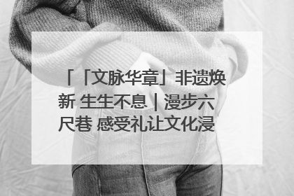 「文脉华章」非遗焕新 生生不息｜漫步六尺巷 感受礼让文化浸润的“巷”往生活
