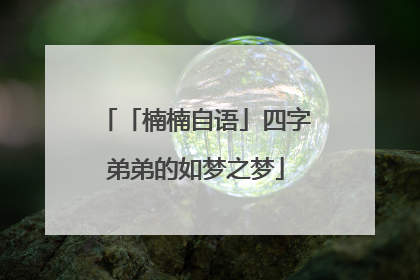 「楠楠自语」四字弟弟的如梦之梦