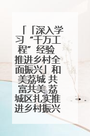 「深入学习“千万工程”经验 推进乡村全面振兴」和美荔城 共富共美 荔城区扎实推进乡村振兴工作
