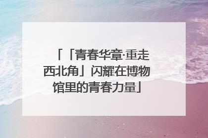 「青春华章·重走西北角」闪耀在博物馆里的青春力量