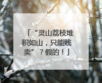 “灵山荔枝堆积如山，只能贱卖”？假的！