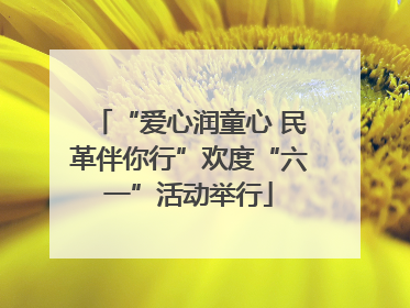 “爱心润童心 民革伴你行”欢度“六一”活动举行