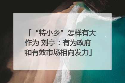 “特小乡”怎样有大作为 刘亭：有为政府和有效市场相向发力