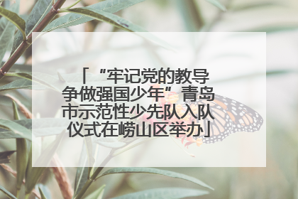 “牢记党的教导 争做强国少年”青岛市示范性少先队入队仪式在崂山区举办