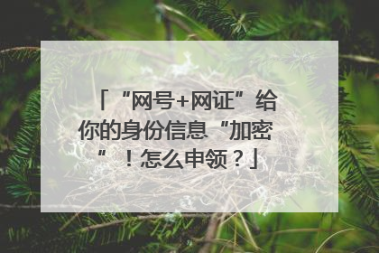 “网号+网证”给你的身份信息“加密”！怎么申领？