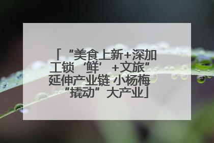 “美食上新+深加工锁‘鲜’+文旅”延伸产业链 小杨梅“撬动”大产业