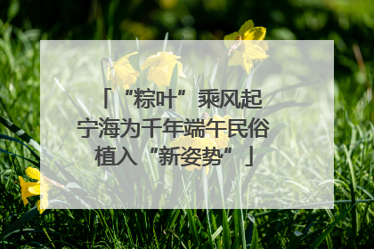 “粽叶”乘风起 宁海为千年端午民俗植入“新姿势”