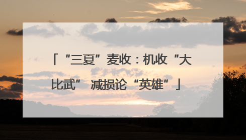 “三夏”麦收：机收“大比武” 减损论“英雄”