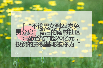 “不论男女到22岁免费分房”背后的南村社区：固定资产超20亿元，投资的影视基地被称为“山村好莱坞”