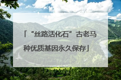 “丝路活化石”古老马种优质基因永久保存