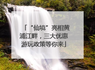 “仙境”亮相黄浦江畔，三大优惠游玩政策等你来