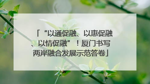 “以通促融、以惠促融、以情促融”！厦门书写两岸融合发展示范答卷
