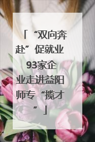 “双向奔赴”促就业 93家企业走进益阳师专“揽才”