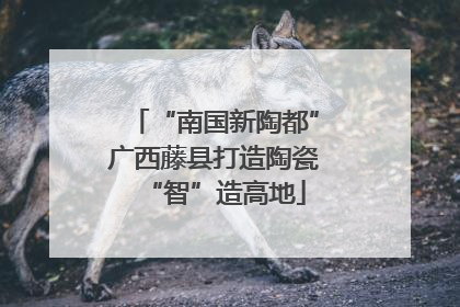 “南国新陶都”广西藤县打造陶瓷“智”造高地