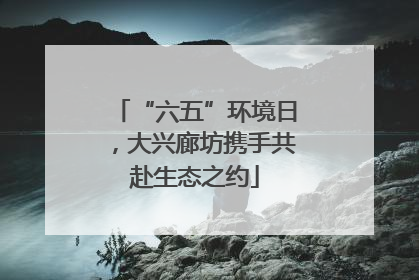 “六五”环境日，大兴廊坊携手共赴生态之约