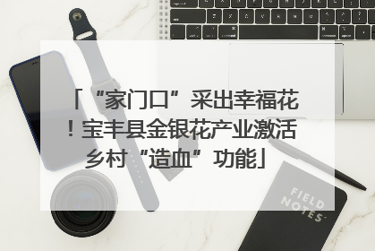 “家门口”采出幸福花！宝丰县金银花产业激活乡村“造血”功能