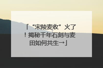 “宋陵麦收”火了！揭秘千年石刻与麦田如何共生→