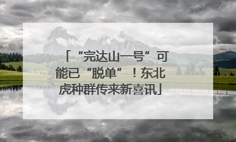 “完达山一号”可能已“脱单”！东北虎种群传来新喜讯