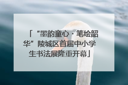 “墨韵童心・笔绘韶华”陵城区首届中小学生书法展隆重开幕