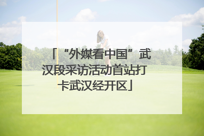 “外媒看中国”武汉段采访活动首站打卡武汉经开区