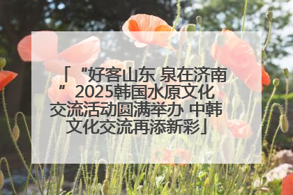 “好客山东 泉在济南”2025韩国水原文化交流活动圆满举办 中韩文化交流再添新彩