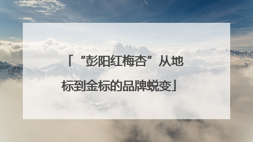 “彭阳红梅杏”从地标到金标的品牌蜕变