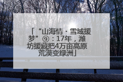 “山海情・雪域援梦”⑨：17年，潍坊援藏把4万亩高原荒漠变绿洲