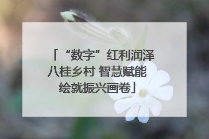 “数字”红利润泽八桂乡村 智慧赋能绘就振兴画卷