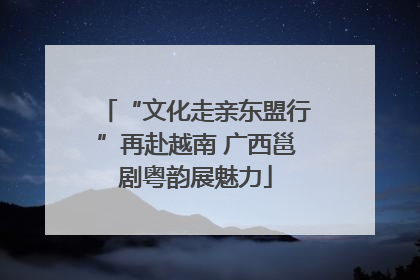 “文化走亲东盟行”再赴越南 广西邕剧粤韵展魅力