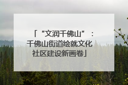 “文润千佛山”：千佛山街道绘就文化社区建设新画卷