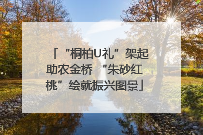 “桐柏U礼”架起助农金桥 “朱砂红桃”绘就振兴图景