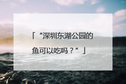 “深圳东湖公园的鱼可以吃吗？”