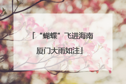 “蝴蝶”飞进海南 厦门大雨如注