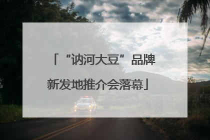 “讷河大豆”品牌新发地推介会落幕