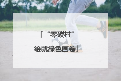 “零碳村” 绘就绿色画卷