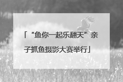 “鱼你一起乐翻天”亲子抓鱼摄影大赛举行
