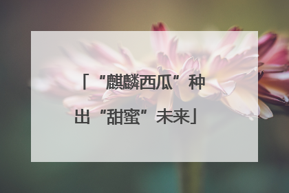 “麒麟西瓜”种出“甜蜜”未来