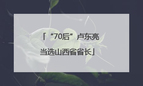 “70后”卢东亮当选山西省省长