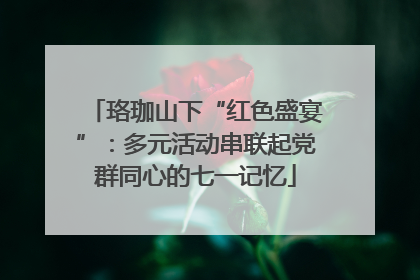 珞珈山下“红色盛宴”：多元活动串联起党群同心的七一记忆