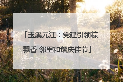 玉溪元江：党建引领粽飘香 邻里和谐庆佳节