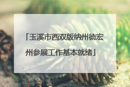 玉溪市西双版纳州德宏州参展工作基本就绪