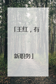 王红，有新职务