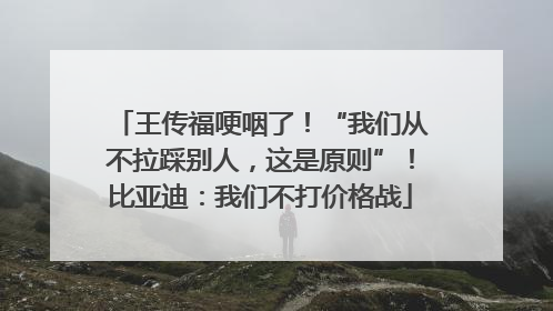 王传福哽咽了！“我们从不拉踩别人，这是原则”！比亚迪：我们不打价格战