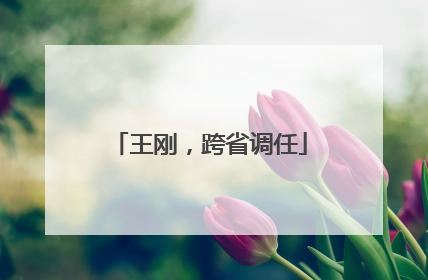 王刚，跨省调任