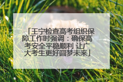 王宁检查高考组织保障工作时强调：确保高考安全平稳顺利 让广大考生更好圆梦未来