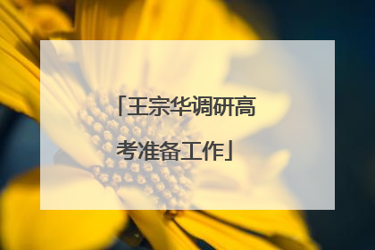 王宗华调研高考准备工作