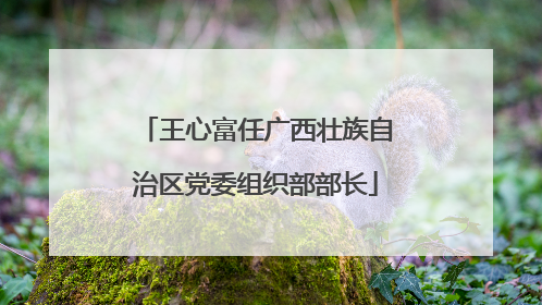 王心富任广西壮族自治区党委组织部部长
